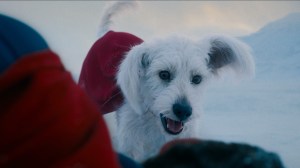 James Gunn Reveals a Depressing Fact About Superman’s Dog Krypto
